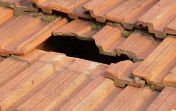 roof repair Shotgate, Essex