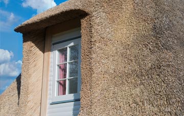 Shotgate thatch roof disadvantages